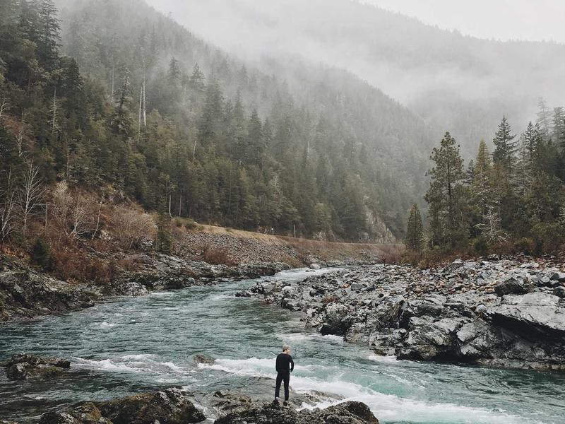 sudoku color sudoku screenshot 4