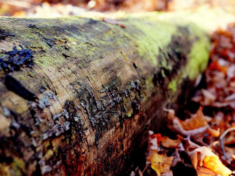 sudoku landscape mode screenshot 4